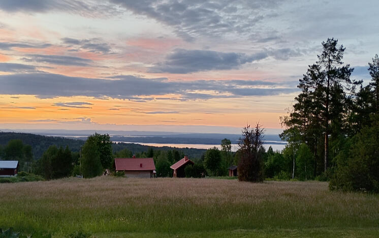 Utsikt viltvårdsområde